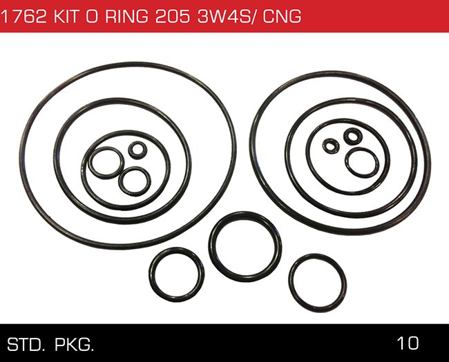 1762 KIT O RING 205 3W4S CNG